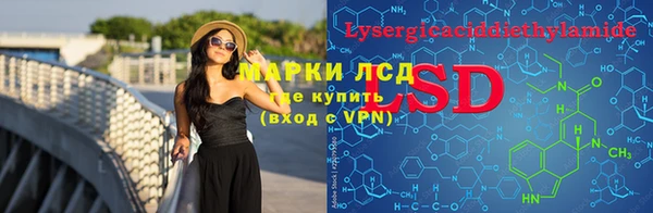 дмт Магас