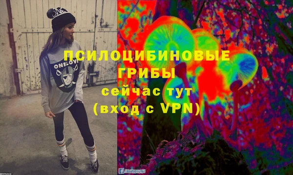 дмт Магас
