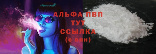 дмт Магас