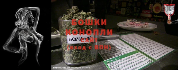 дмт Магас