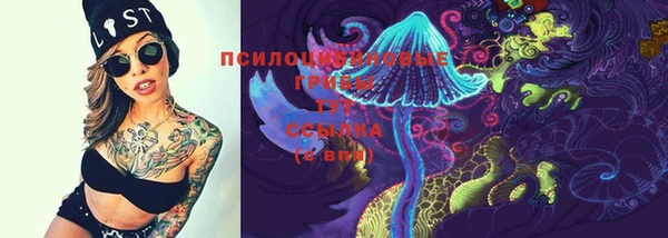дмт Магас